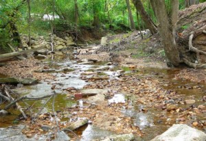 This natural stream was saved from destruction and risk of contamination 