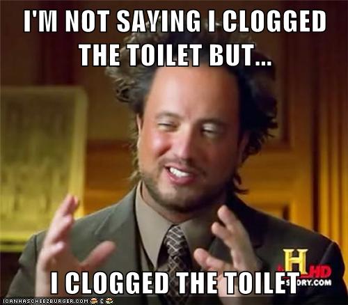 The toilet clogger