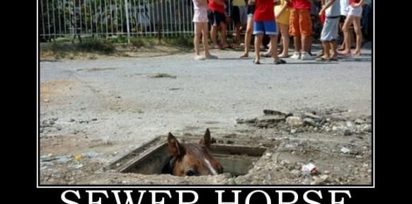 Sewer Horse is watching you