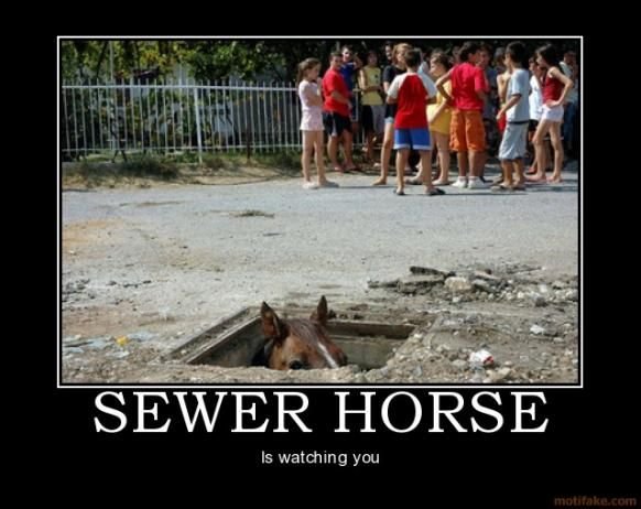 Sewer Horse is watching you